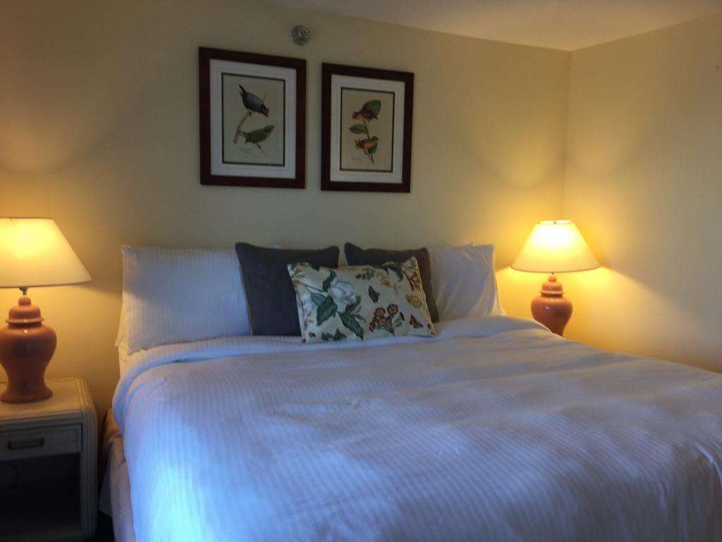 The Beach Rose Inn ويلز المظهر الخارجي الصورة